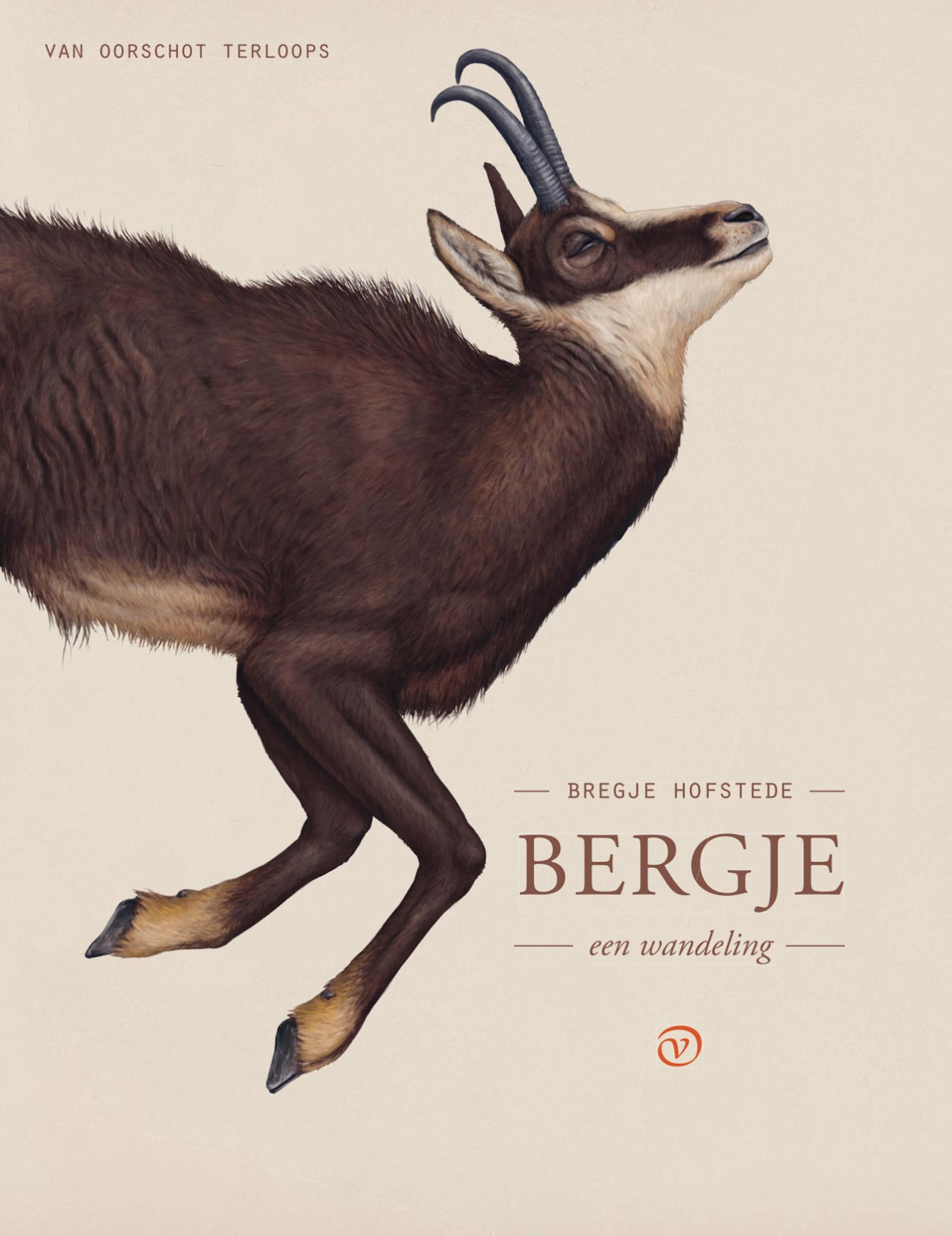 Omslag van Bergje