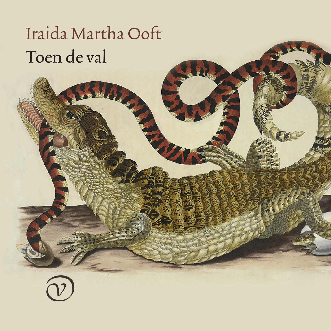 Omslag van Toen de val