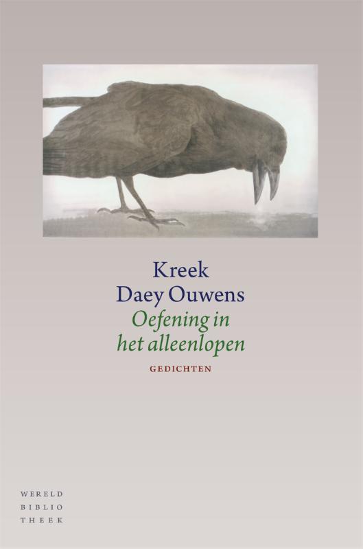 Omslag van Oefening in het alleenlopen