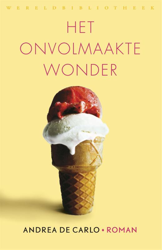 Omslag van Het onvolmaakte wonder