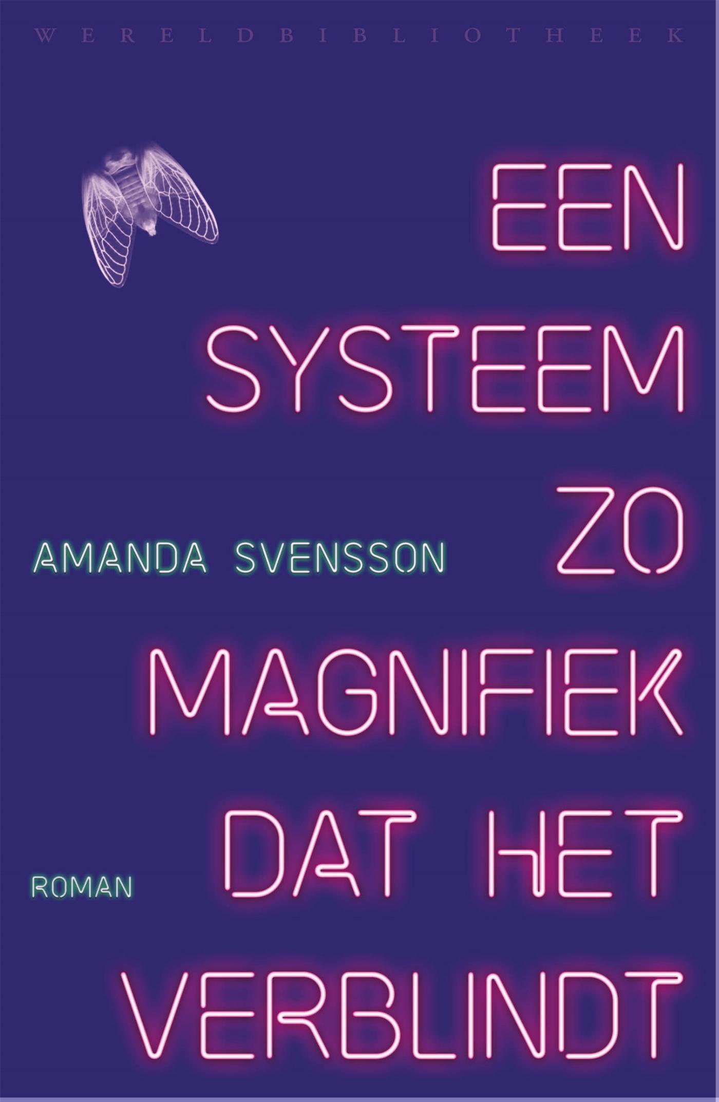 Omslag van Een systeem zo magnifiek dat het verblindt