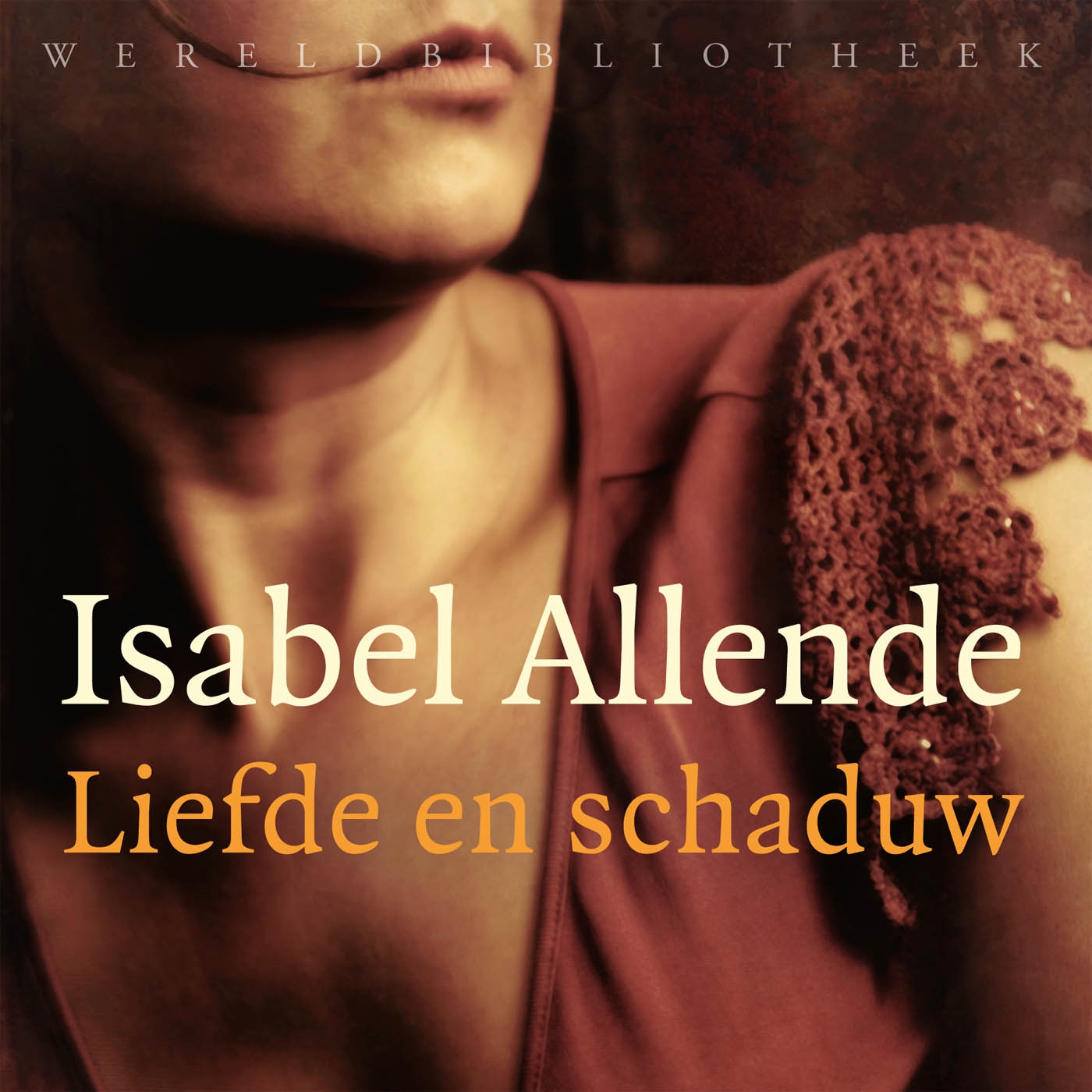 Omslag van Liefde en schaduw