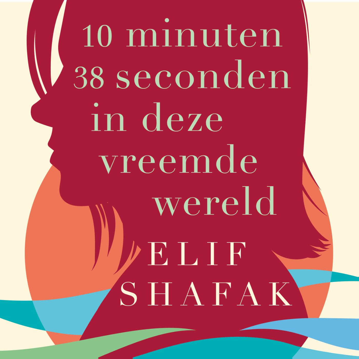 Omslag van 10 minuten 38 seconden in deze vreemde wereld