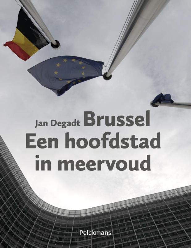 Omslag van Brussel een hoofdstad in meervoud