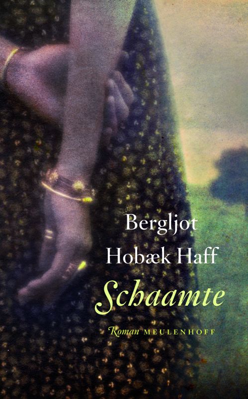 Omslag van Schaamte