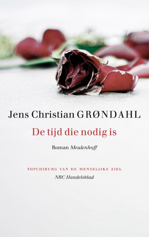 Omslag van De tijd die nodig is