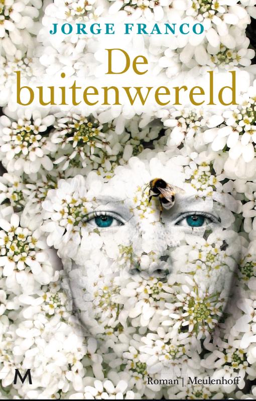 Omslag van De buitenwereld