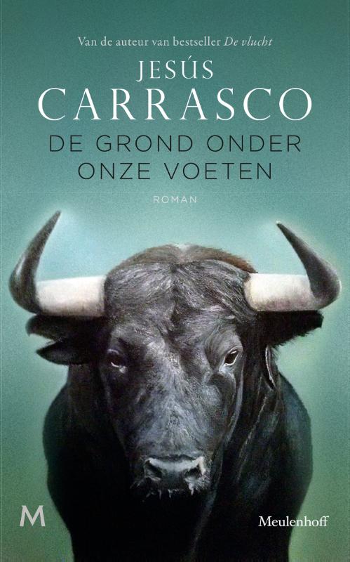 Omslag van De grond onder onze voeten