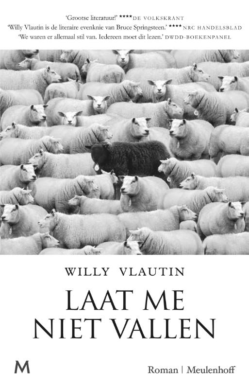 Omslag van Laat me niet vallen