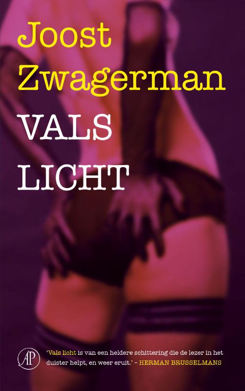 Omslag van Vals licht