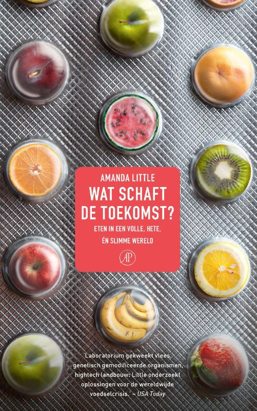 Omslag van Wat schaft de toekomst?