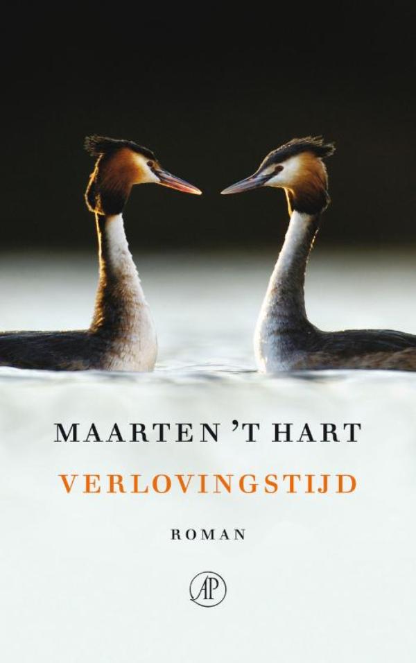Omslag van Verlovingstijd