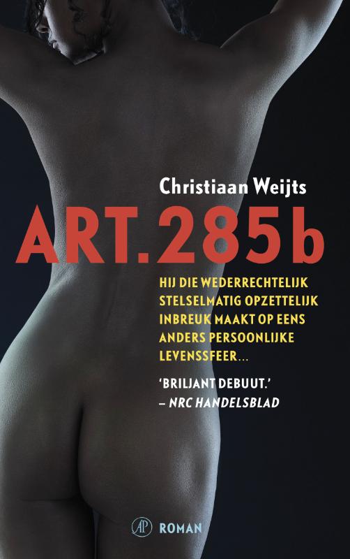 Omslag van Art. 285b