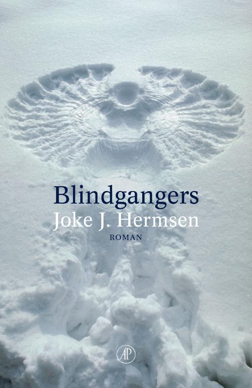 Omslag van Blindgangers