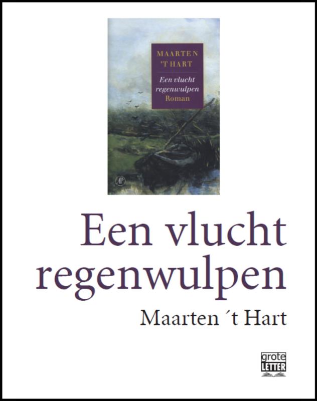 Omslag van Een vlucht regenwulpen - grote letter