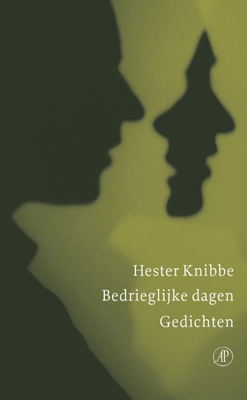 Omslag van Bedrieglijke dagen