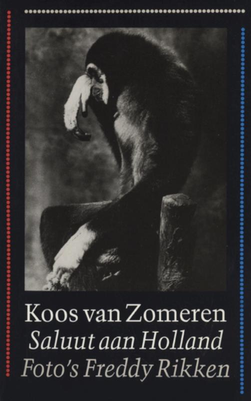 Omslag van Saluut aan Holland
