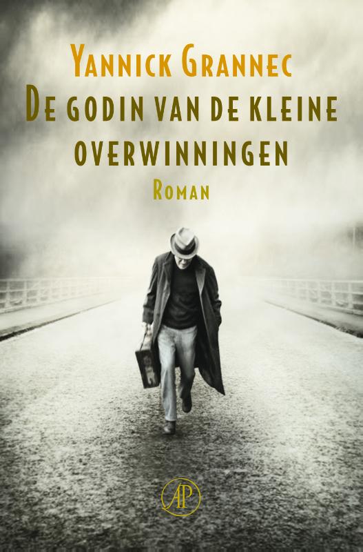 Omslag van De godin van de kleine overwinningen