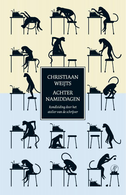 Omslag van Achternamiddagen