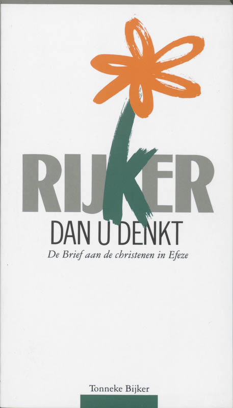 Omslag van Rijker dan u denkt