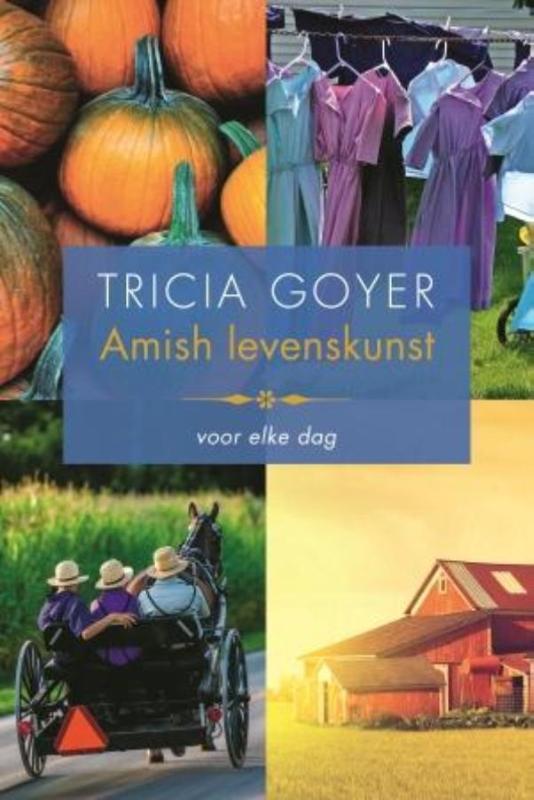 Omslag van Amish levenskunst