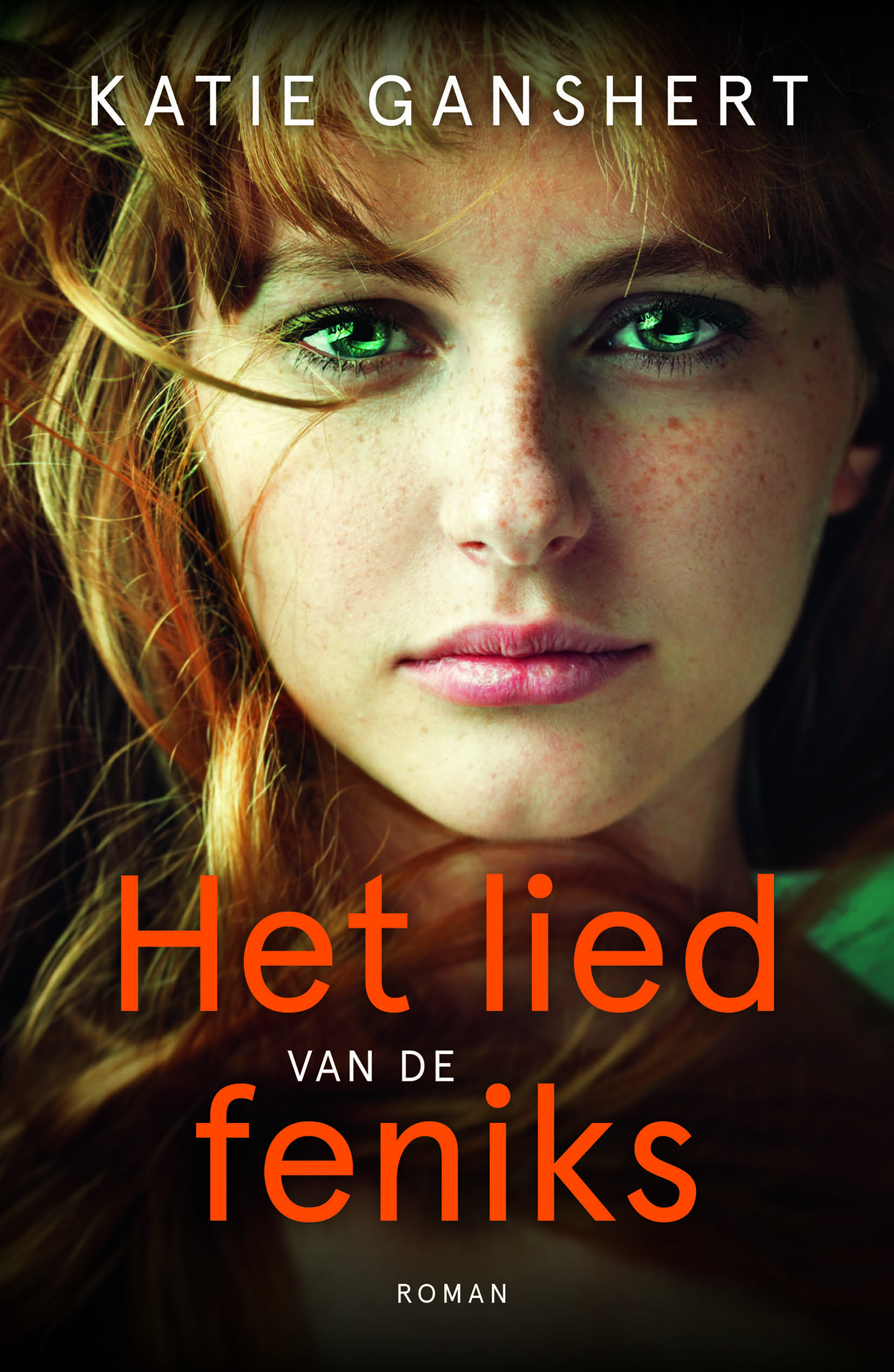 Omslag van Het lied van de feniks