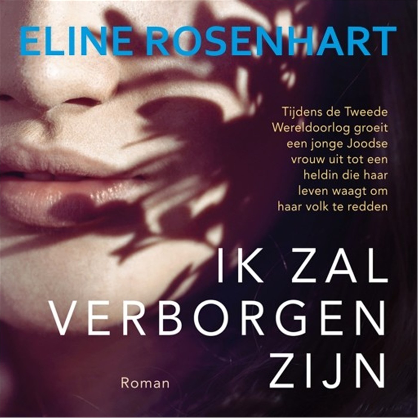 Omslag van Ik zal verborgen zijn