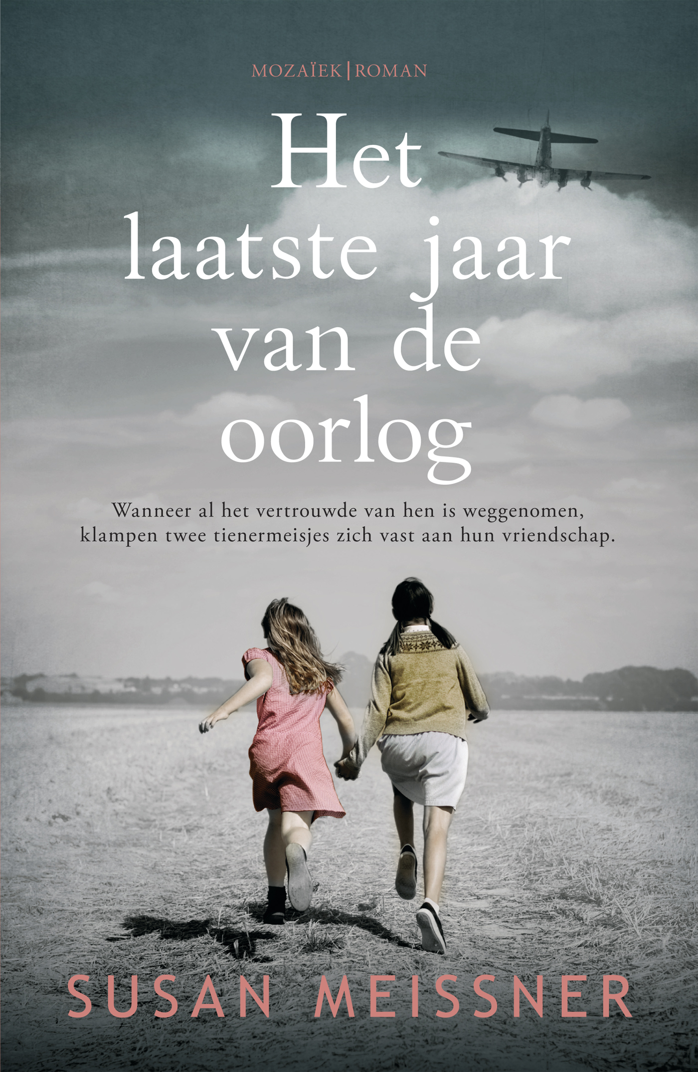 Omslag van Het laatste jaar van de oorlog
