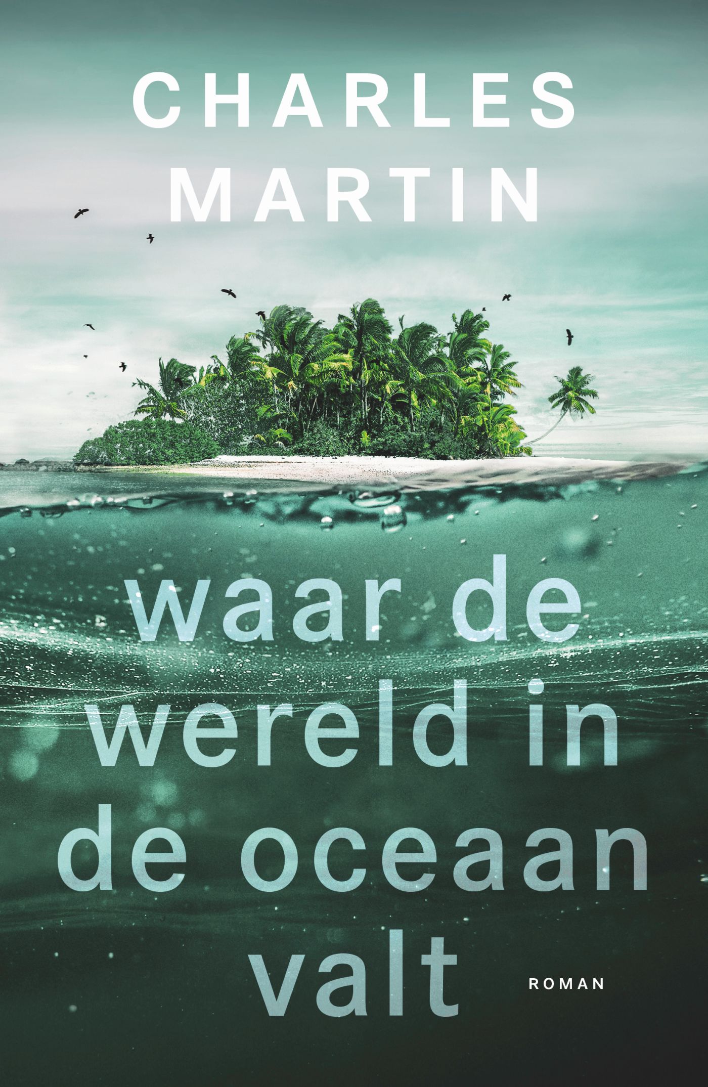 Omslag van Waar de wereld in de oceaan valt