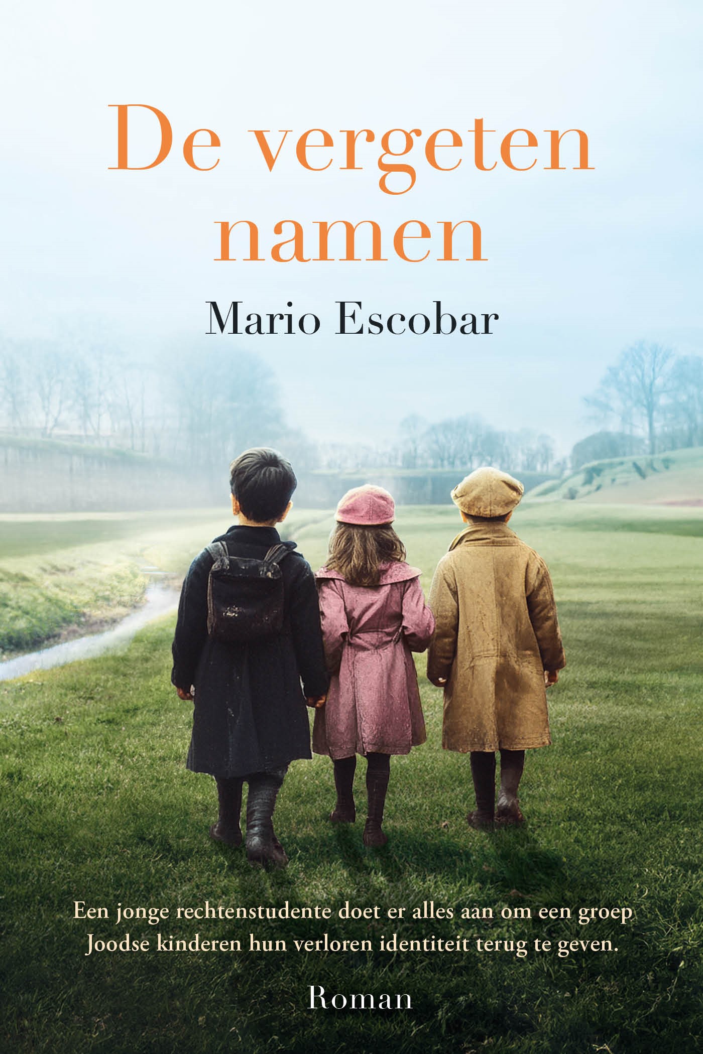 Omslag van De vergeten namen