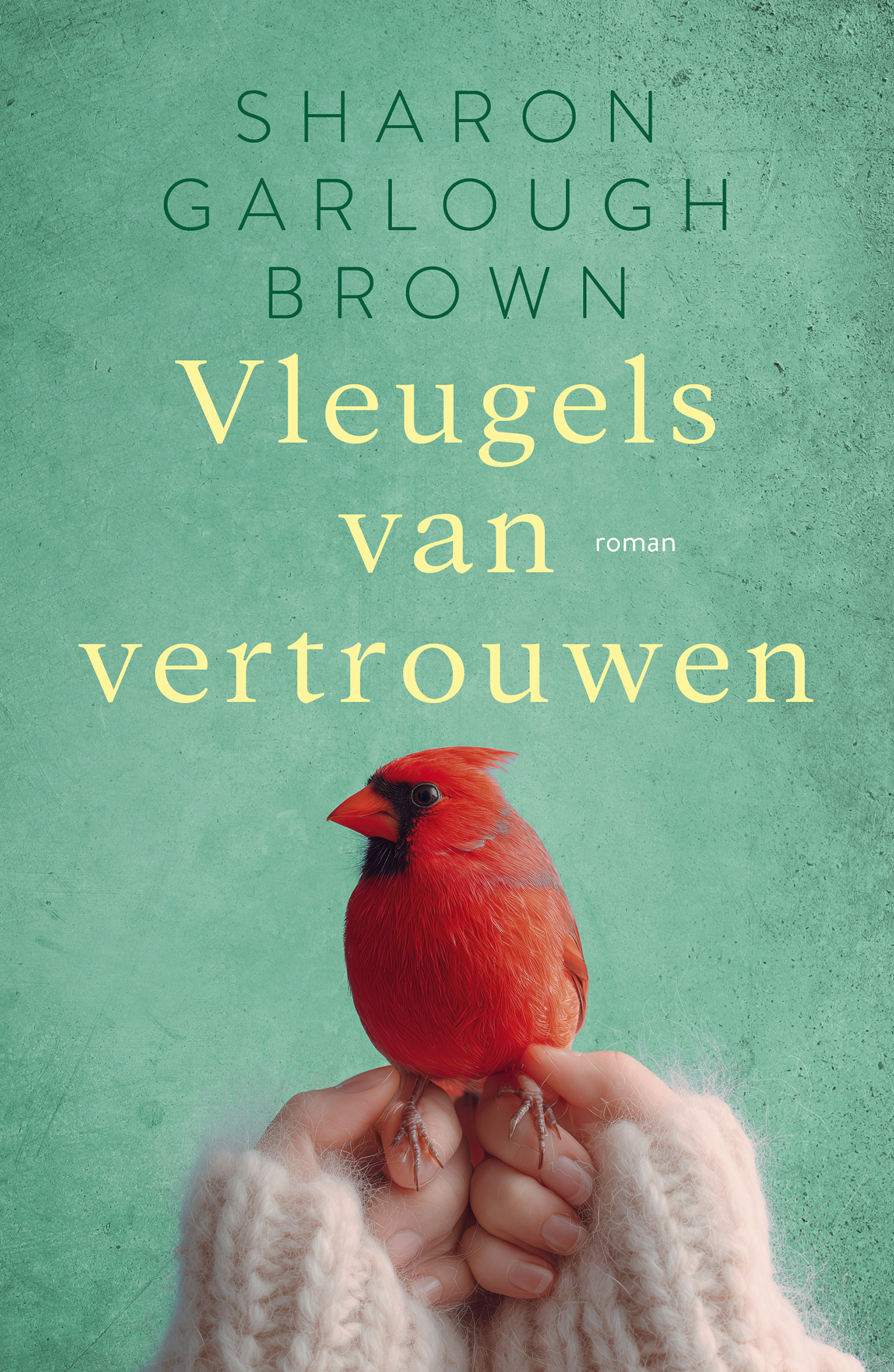 Omslag van Vleugels van vertrouwen