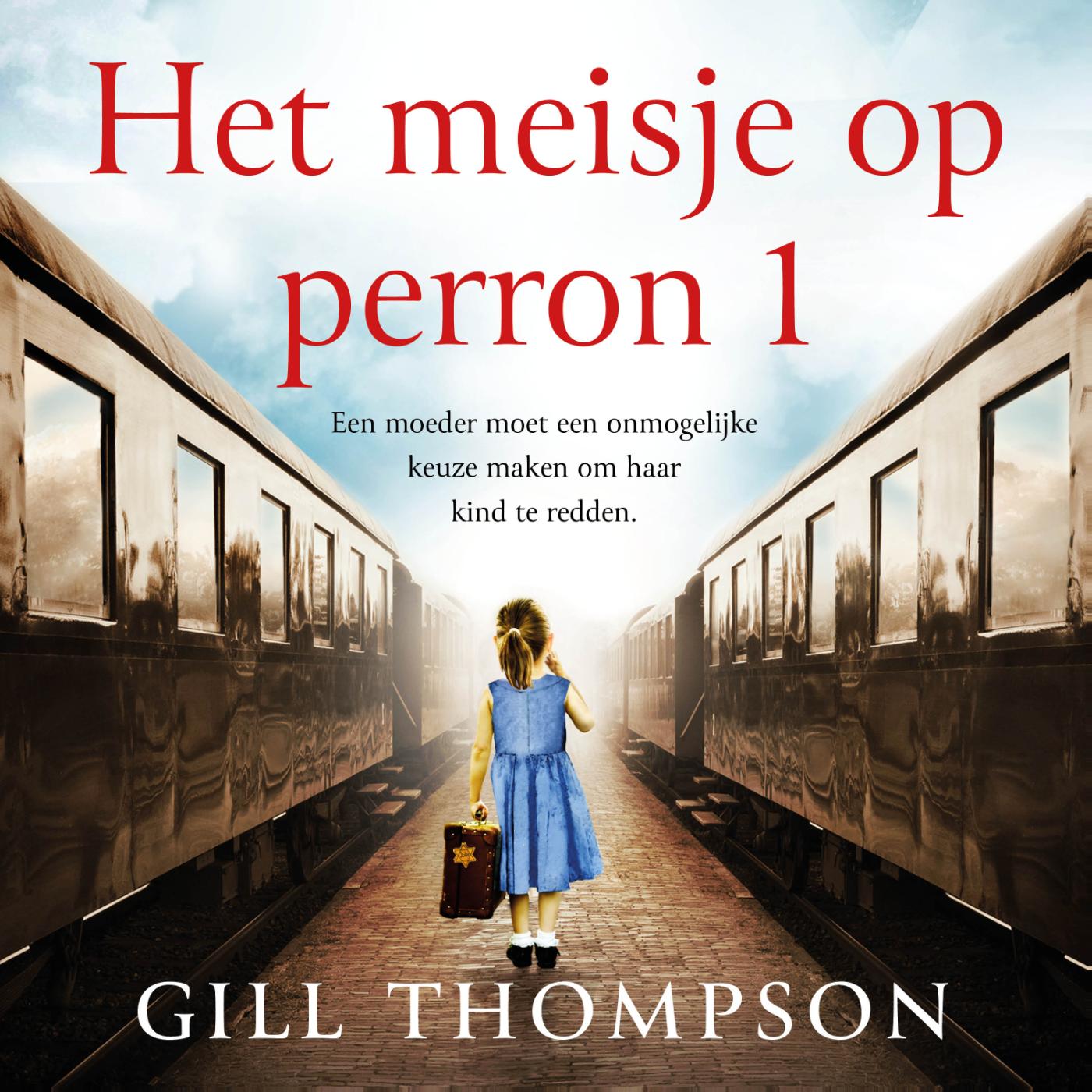 Omslag van Het meisje op perron 1