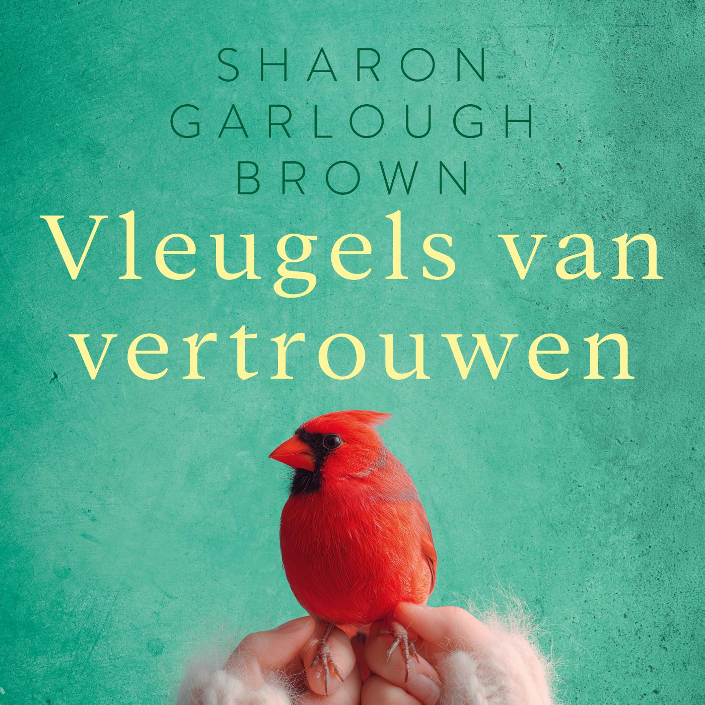 Omslag van Vleugels van vertrouwen