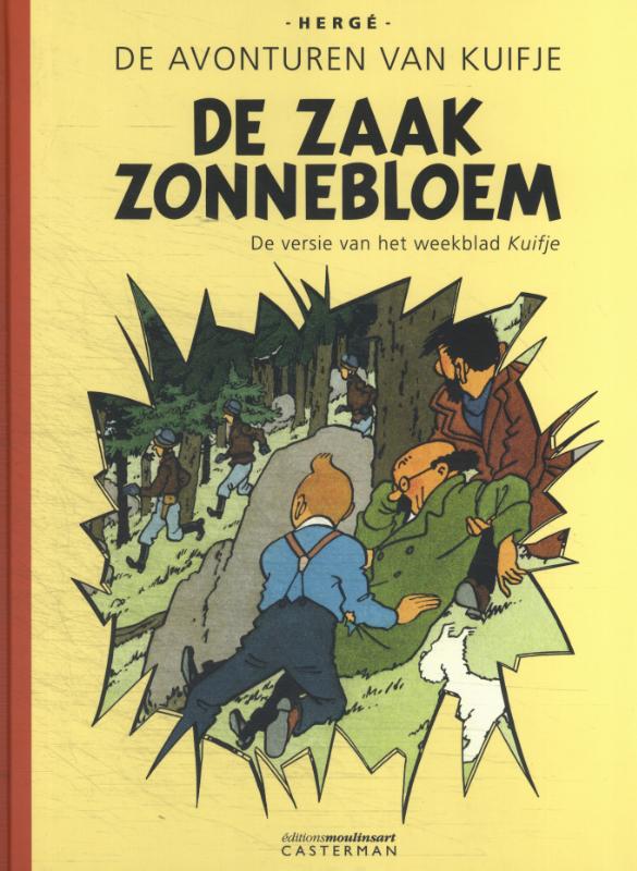 Omslag van De zaak Zonnebloem