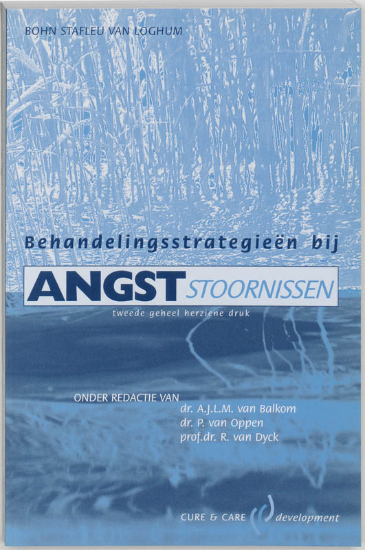Omslag van Behandelingsstrategieen bij angststoornissen