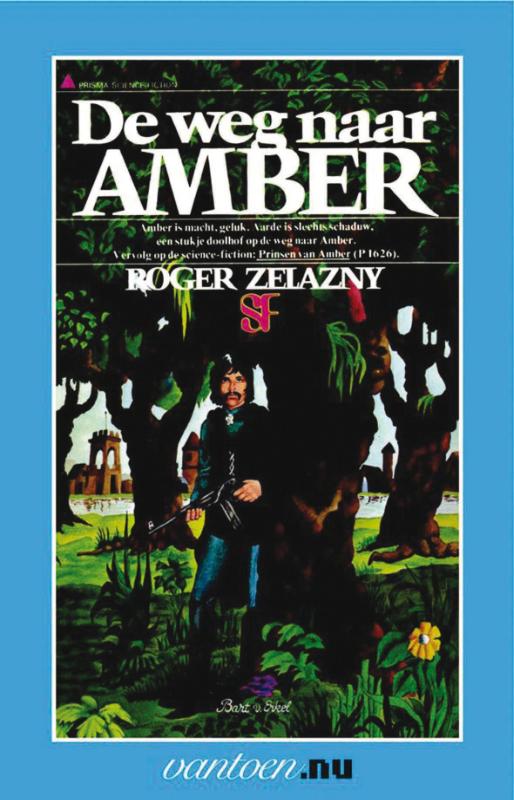 Omslag van De weg naar Amber