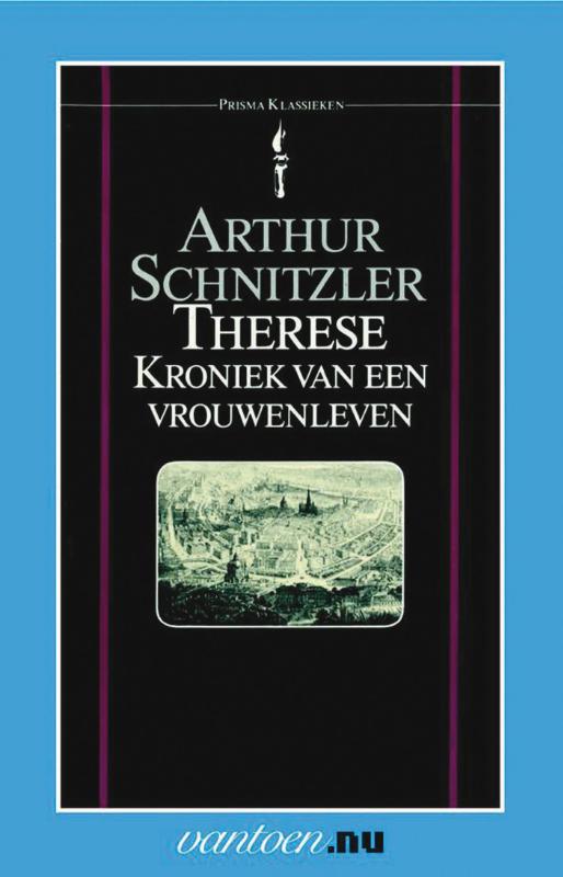 Omslag van Therese, kroniek van een vrouwenleven