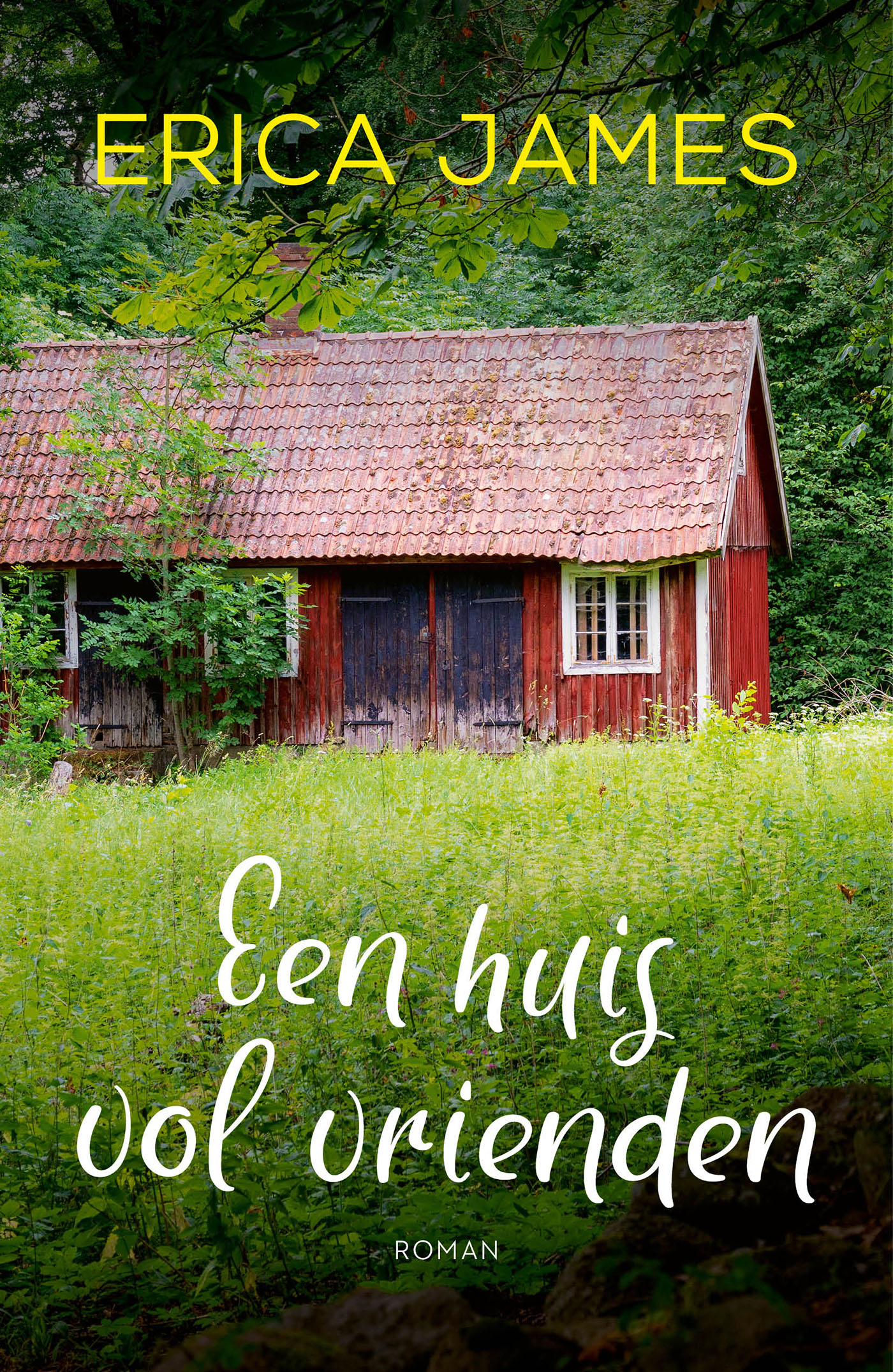 Omslag van Een huis vol vrienden