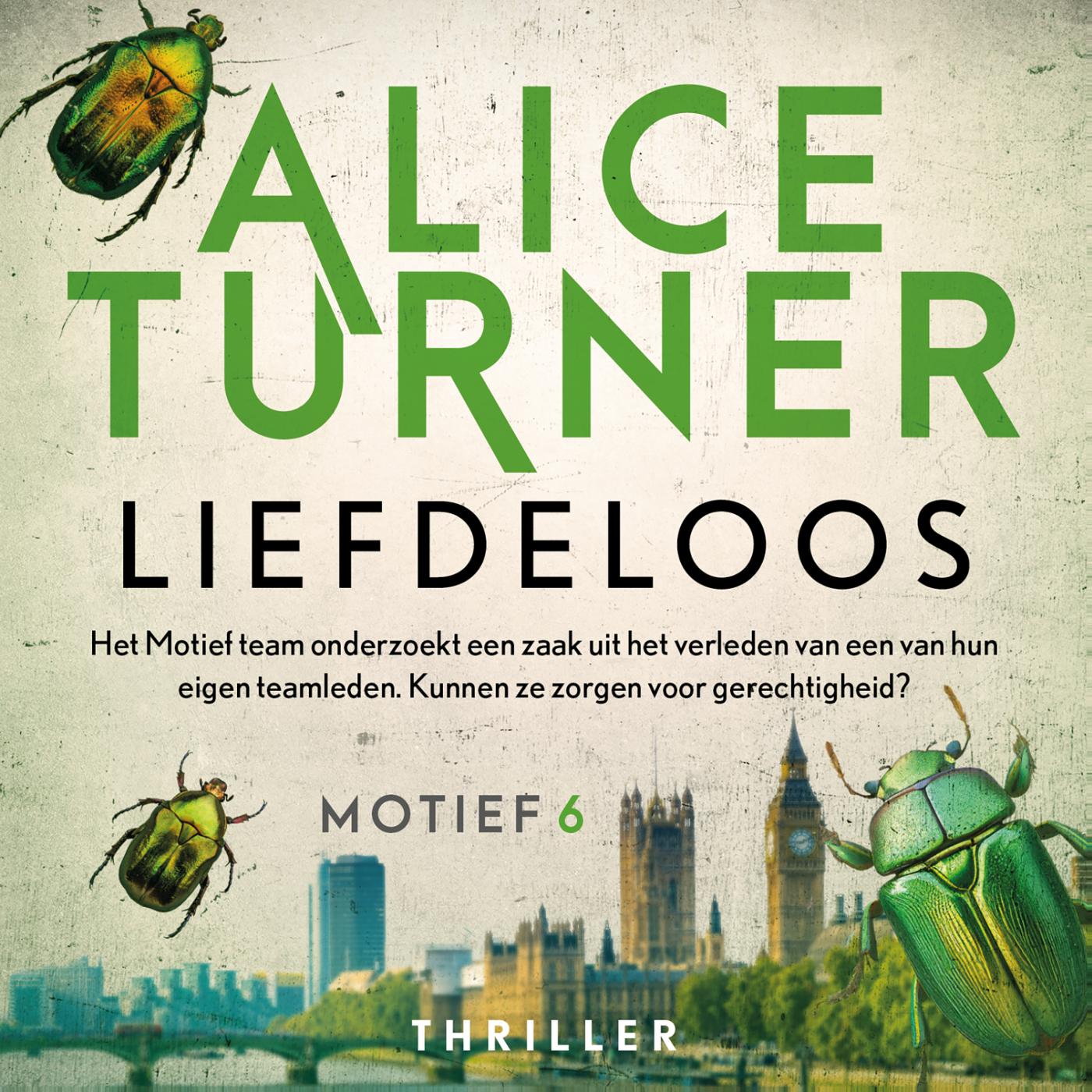 Omslag van Liefdeloos