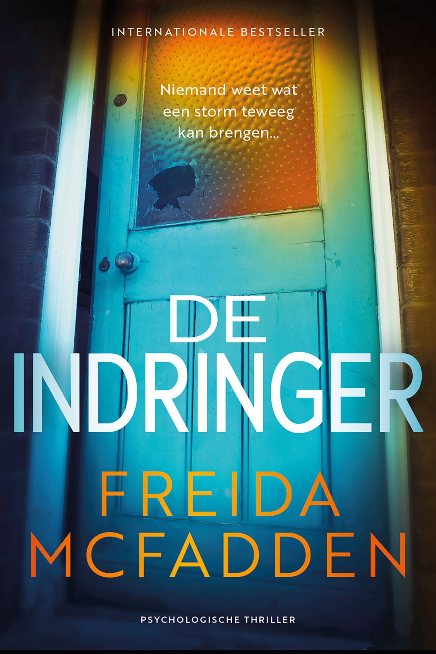 Omslag van De indringer