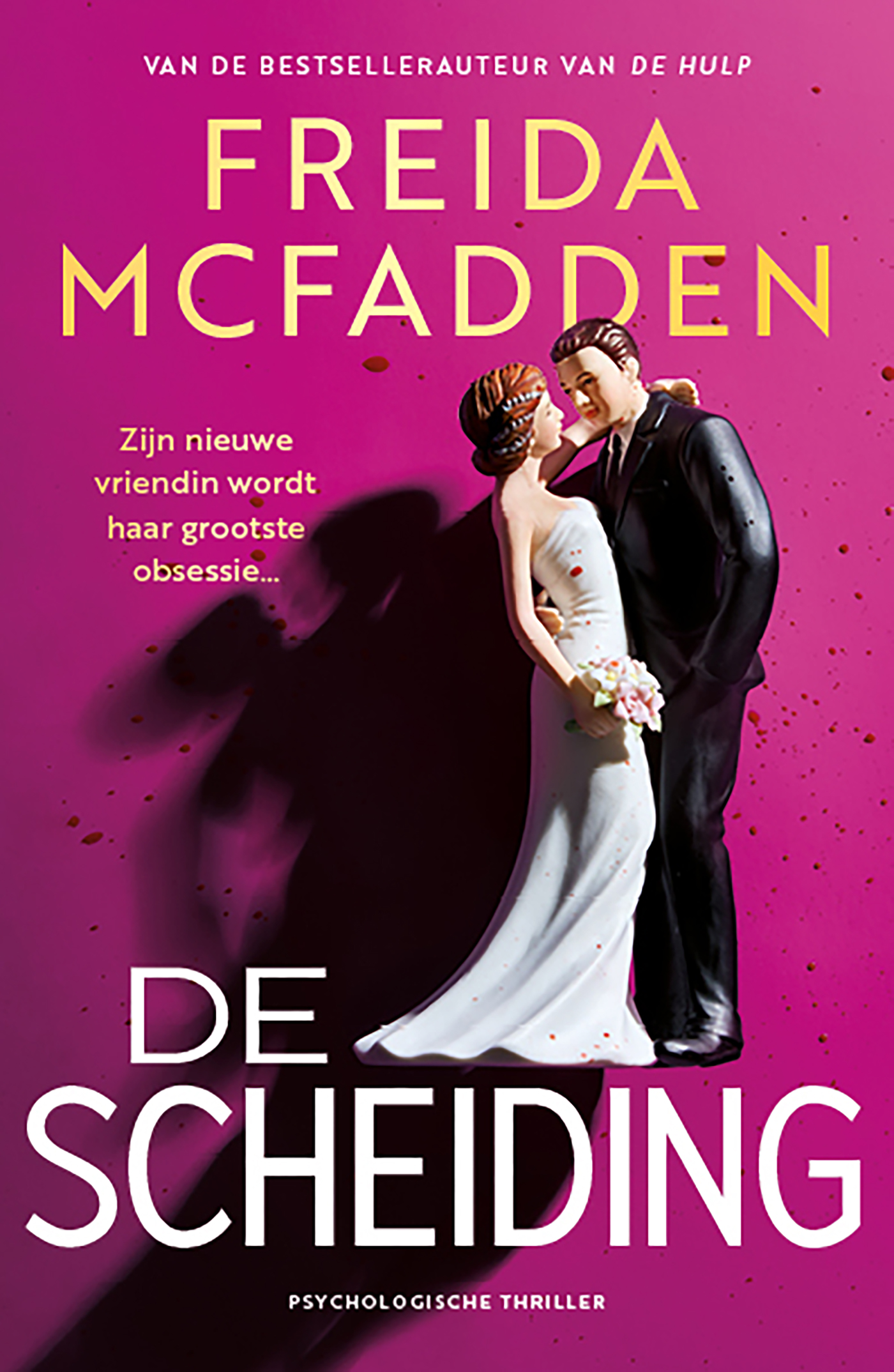 Omslag van De scheiding