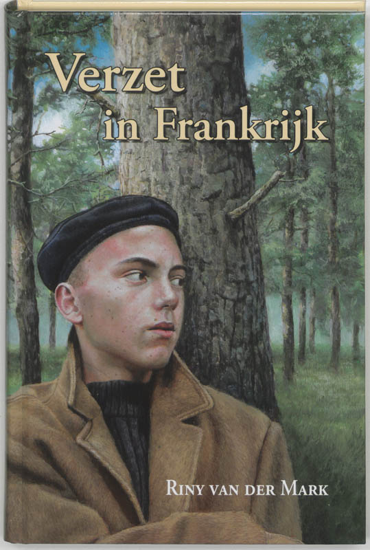 Omslag van Verzet in Frankrijk