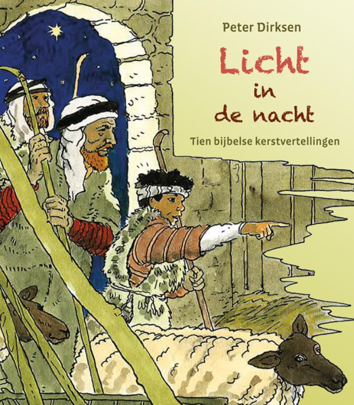 Omslag van Licht in de nacht
