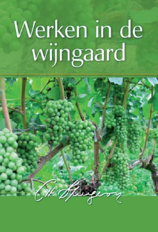Omslag van Werken in de wijngaard