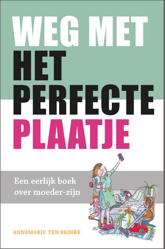 Omslag van Weg met het perfecte plaatje