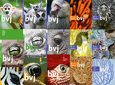 Omslag van handboek deel 2a