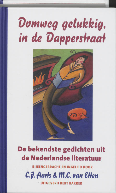 Omslag van Domweg gelukkig, in de Dapperstraat