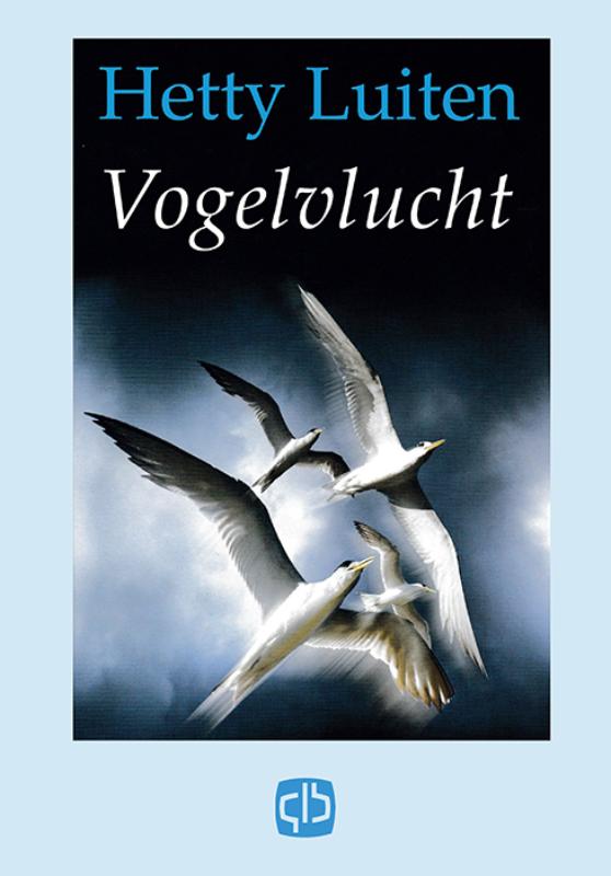 Omslag van Vogelvlucht