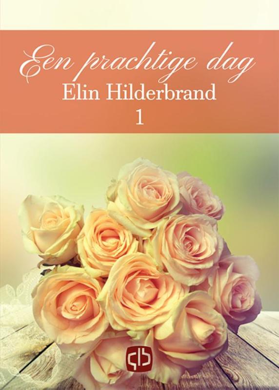 Omslag van Een prachtige dag