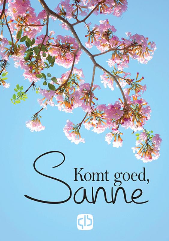Omslag van Komt goed, Sanne